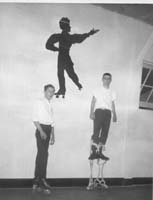 stilt